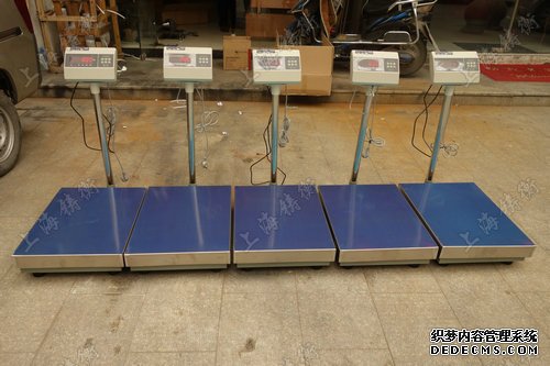 电子草莓视频免费下载观看